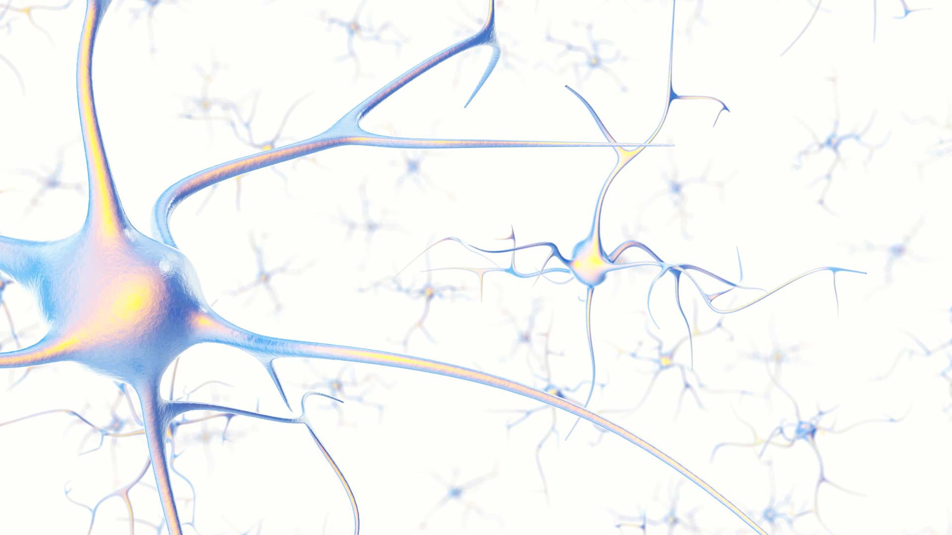 Privatarztpraxis Integrative Medizin – Multiple Sklerose und Ernährung in Braunschweig.